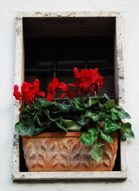 Bed and Breakfast Le Stanze dei Nonni Avellino Exterior foto